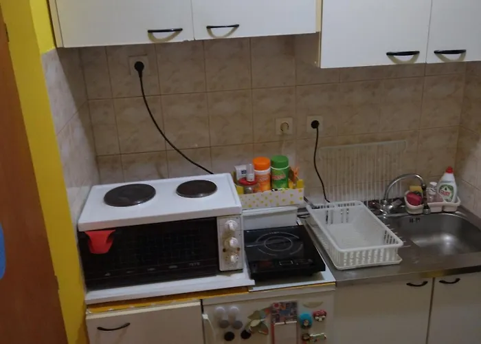 Zlatiborsko Sunce 즐라티보